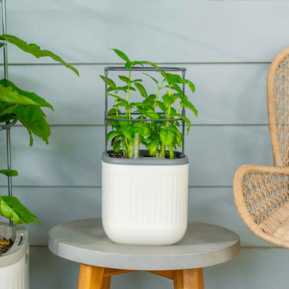 Countertop Vego garden Mini Planter Indoor Pots with Trellis Self-Watering Herb Planter for Climbing Vegetables Flowers