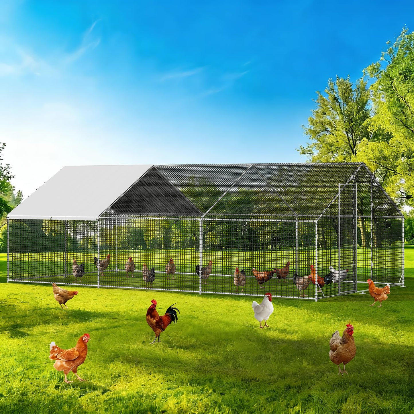 LEVELEVE Large Walk-in Chicken Coop with Chicken Run, Galvanized Poultry Enclosure with Waterproof Anti-UV Cover and Security Lock, Ideal for Rabbit, Duck, Backyard and Farm Yard, 19.7'x 9.8'x 6.6'