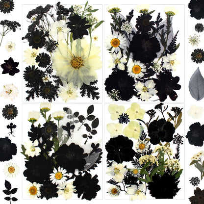 LUCISKY 90Pcs Black Pressed Dried Flowers for Resin Molds, Real Natural Bulk Dry Floral Leave for DIY Art Crafts, Epoxy Jewelry, Candle, Soap Making, Nails Decors