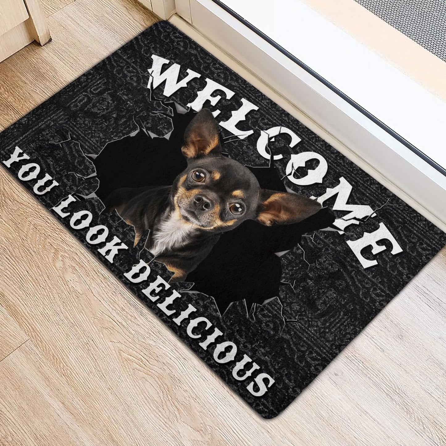 You Look Delicious Door Mat, 16x24 Inch, Non-Slip Rubber Welcome Doormat for Indoor Outdoor Entrance Floor