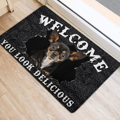 You Look Delicious Door Mat, 16x24 Inch, Non-Slip Rubber Welcome Doormat for Indoor Outdoor Entrance Floor