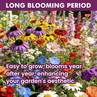 Wildflower Seeds - 10,000+ Bulk Butterfly & Hummingbird Mix | 21 Varieties of Heirloom Perennials & Annuals