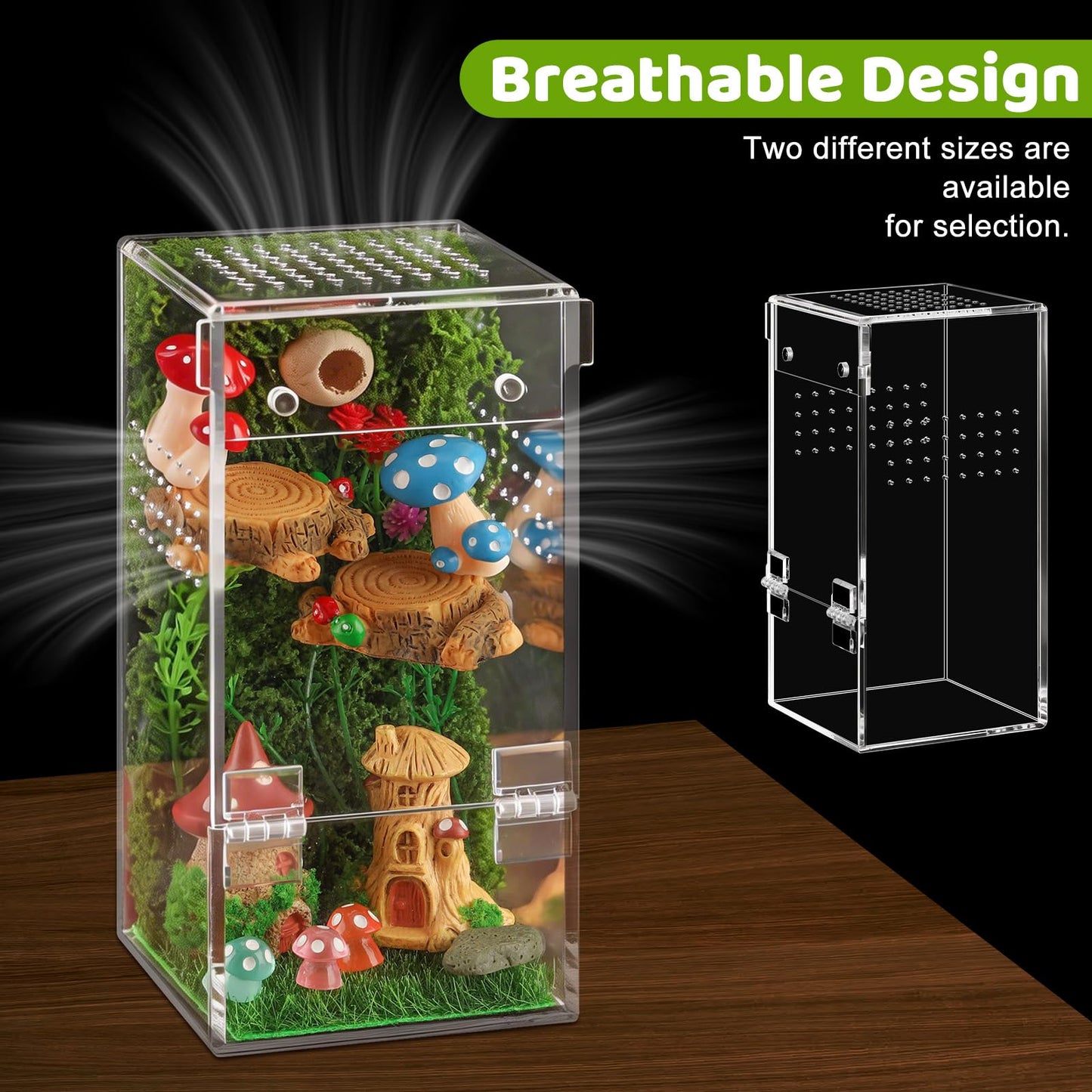 Jumping Spider Enclosure Kit Acrylic Terrarium Reptile Enclosure Accessories Insect Habitat for Mantis Tarantula Snail (Small)