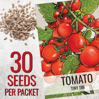 (5 Packs) Seed Needs Tiny Tim Tomato Seeds for Planting Dwarf Cherry Tomatoes - Non-GMO Heirloom & Untreated Veggie