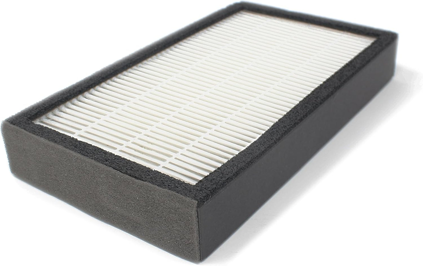 Fette Filter True HEPA Filter Compatible with GermGuardian FLT4100 Models
