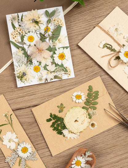 100pcs White and Light Yellow Dried Pressed Flowers Bulk, Natural Fall Pressed Dried Flowers with Tweezer for DIY Crafts Resin Mold Candles Cake Bridal Scrapbooking Supplies