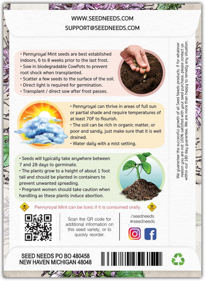 1,000 (1 Pack) Seed Needs, Pennyroyal Mint Seeds - Heirloom Seeds for Planting Mentha pulegium - Medicinal Herb Non-GMO