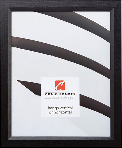 Craig Frames 7171610BK 8.5 x 11-Inch Picture/Poster Frame, Solid Black, Wood Grain Finish