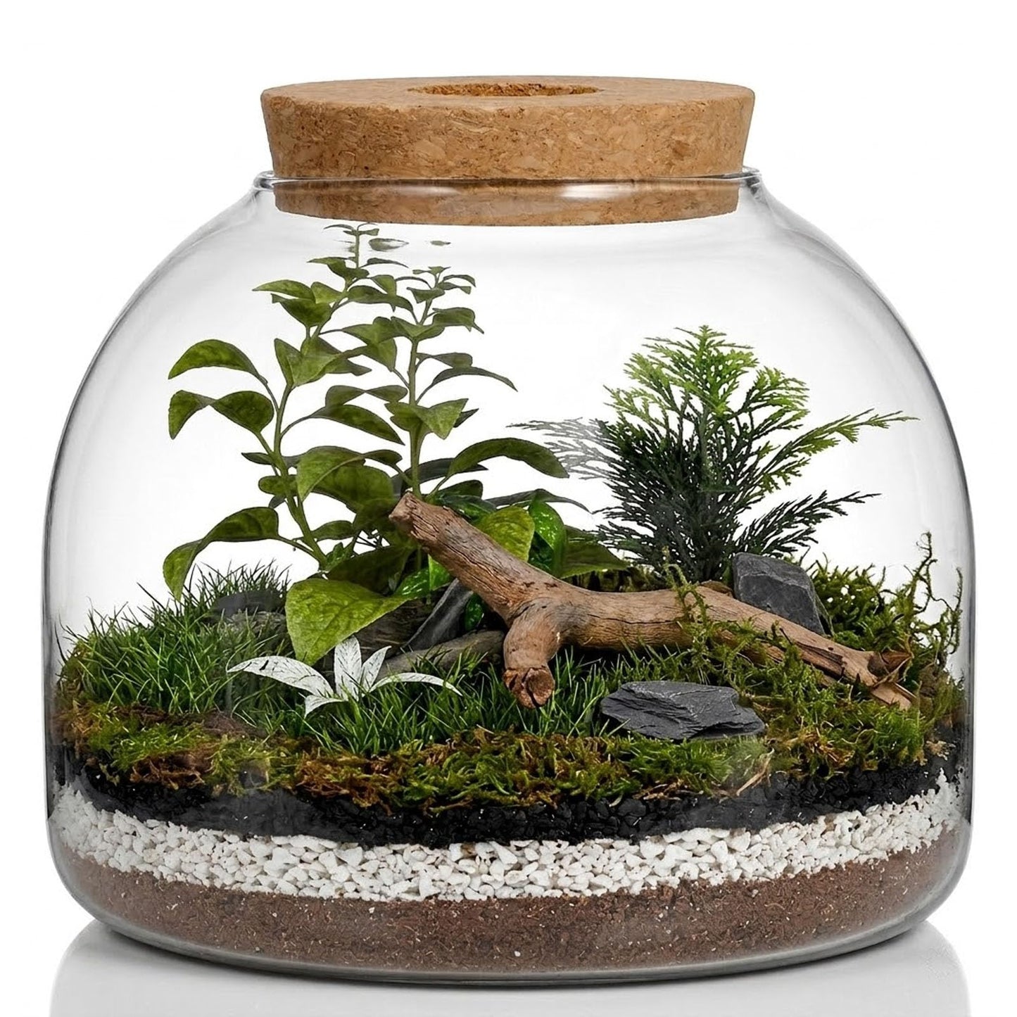 iplusmile Glass Plant Terrarium Jar, Tabletop Succulent Bubble Planter with Cork Lid, Open Mouth Round Fish Bowl Vase Sealed Glass Bottles Vial for Home Decor