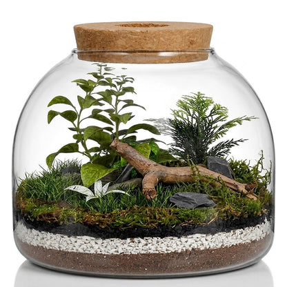 iplusmile Glass Plant Terrarium Jar, Tabletop Succulent Bubble Planter with Cork Lid, Open Mouth Round Fish Bowl Vase Sealed Glass Bottles Vial for Home Decor