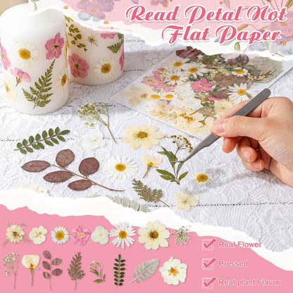 Maasechs 96 Pcs Natural Dried Pressed Flowers for Cake Topper Decorating Cupcake Toppers Cocktails Resin Jewelry Making DIY Art Crafts