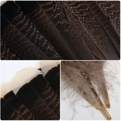 THARAHT 24pcs Natural Wild Turkey Tails Feathers Quill Bulk 8-10inch 20-25cm for DIY Crafts Project Collection Wedding Decoration Wild Turkey Tails Feather