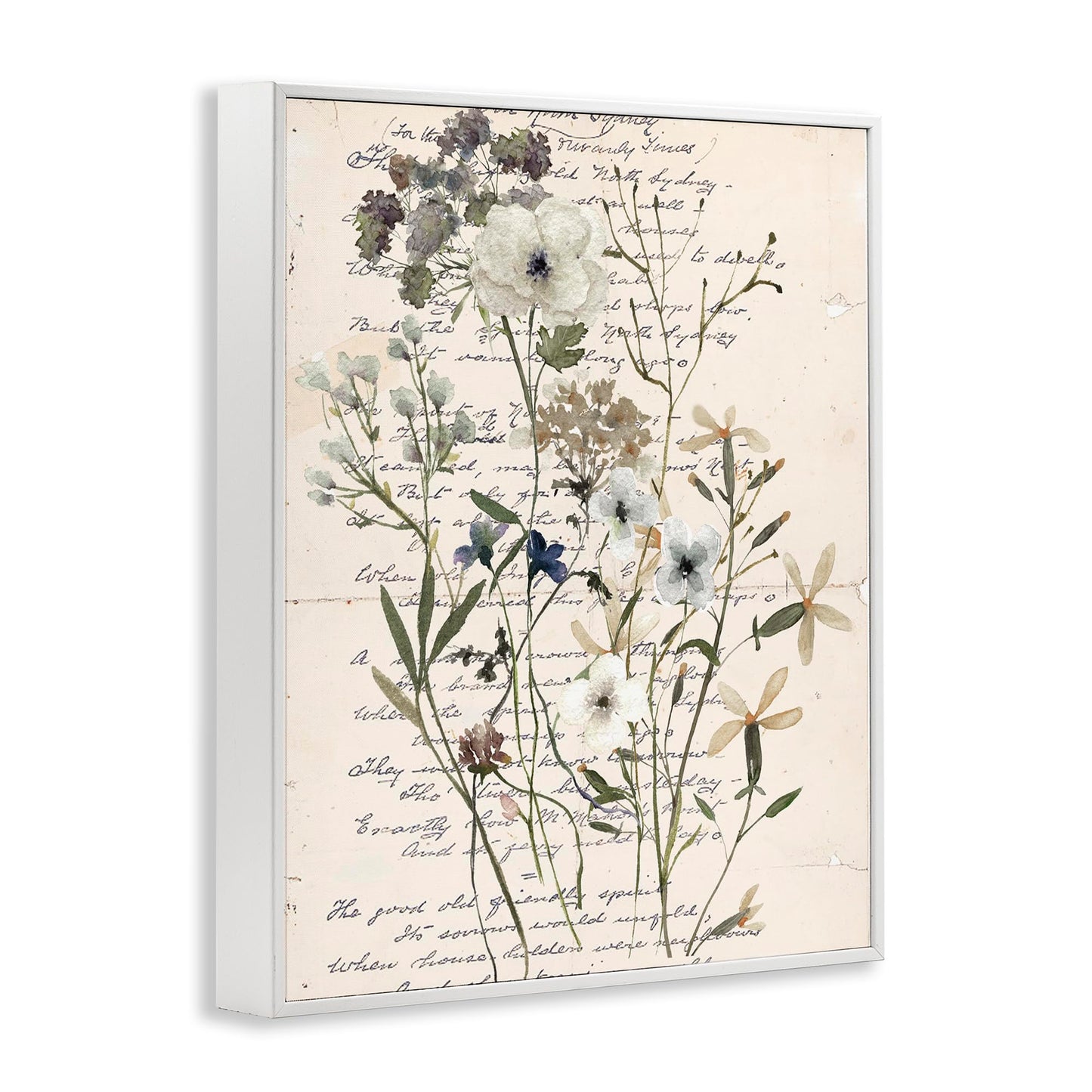 Stupell Industries Vintage Pressed Flowers White Framed Giclee Wall Art Design by Carol Robinson, 11 x 14