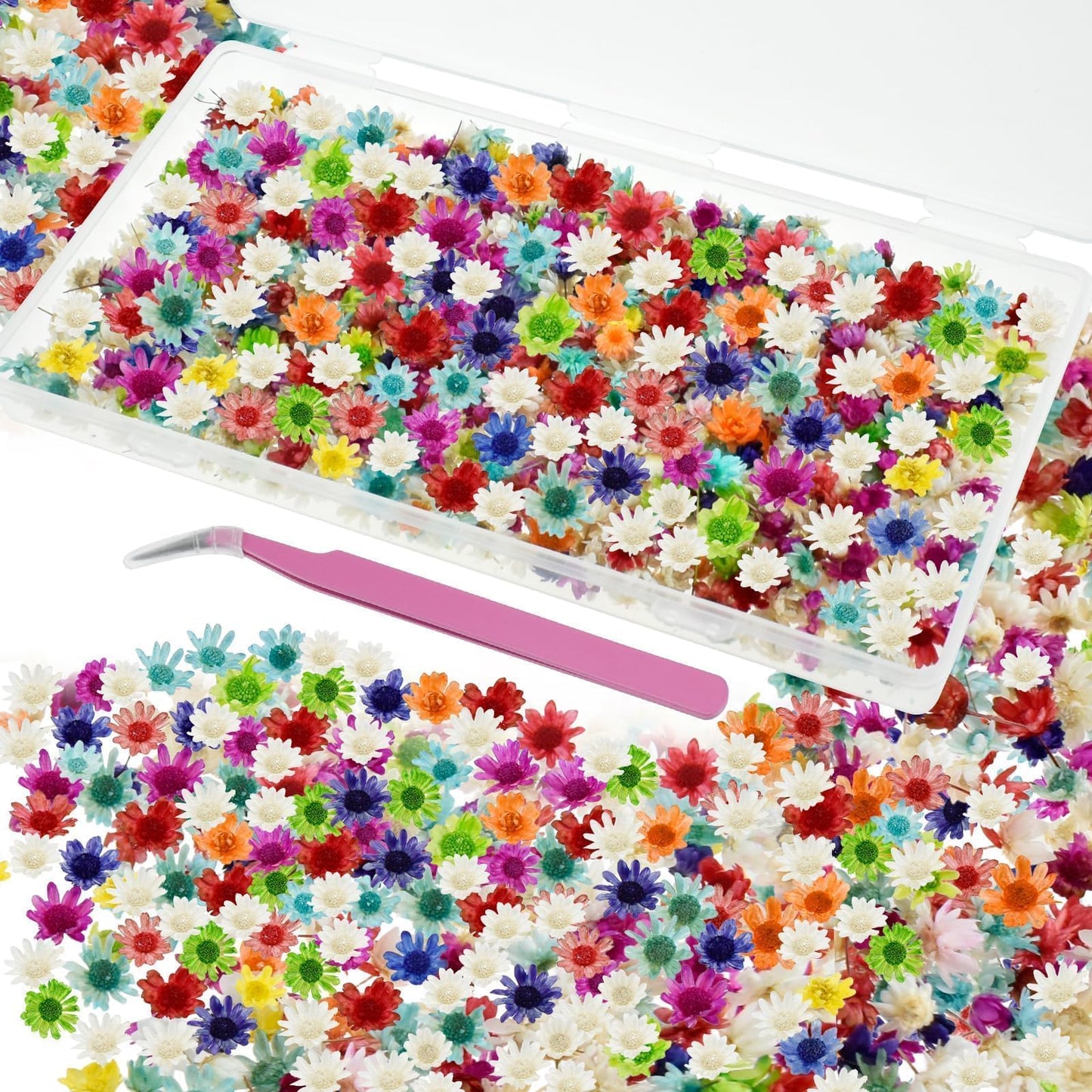 MARRTEUM 800 PCS Mini Dried Flowers for Resin - Include Tweezers, Small Tiny Natural Real Dried Pressed Flowers Art Bulk for Crafts Resin Nails, DIY Epoxy Earrings Jewelry Crafts, Soap Candles Making