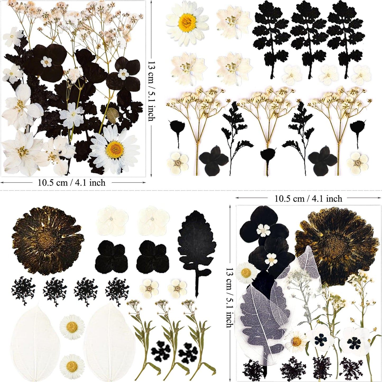MIKIYA 84Pcs Black Dried Pressed Flowers for Resin Molds, Bulk Real Natural Dry Floral for DIY Art Crafts, Epoxy Jewelry, Candle, Soap Making, Nails Decor, Phone Case