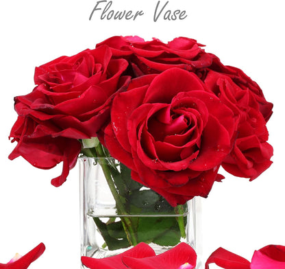CYS EXCEL 4"x4"x4" Glass Cube Vase | Square Wedding Flower Centerpieces | Cubic Candle Holder