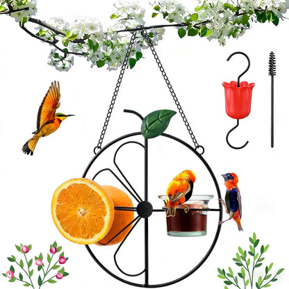 Dunkive Halves(Black,1 Pack) Baltimore Oriole Bird Feeder for Outdoors Oriole Feeder with Ant Moat & Glass Bowl & Ant