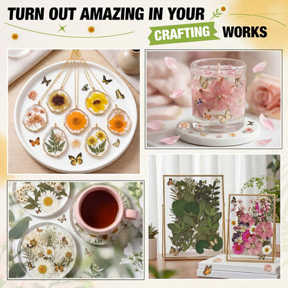 Solsew 160 Pcs Dried Pressed Flowers for Resin Set Natural Pressed Flowers with Butterfly Stickers for Crafts DIY Jewelry Floral Decors Making Nail Art(Wildflower,Light Yellow)