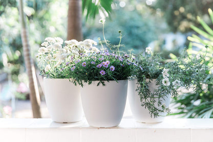 GARDENIX DECOR Self Watering Pots for Indoor Plants 3 Pack - Flower Pot with Water Level Indicator for Plants, Grow Tracking Tool - Self Watering Planter Plant Pot - Coco Coir - White