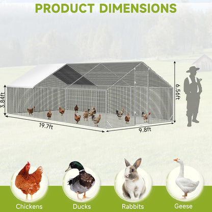 LEVELEVE Large Walk-in Chicken Coop with Chicken Run, Galvanized Poultry Enclosure with Waterproof Anti-UV Cover and Security Lock, Ideal for Rabbit, Duck, Backyard and Farm Yard, 19.7'x 9.8'x 6.6'