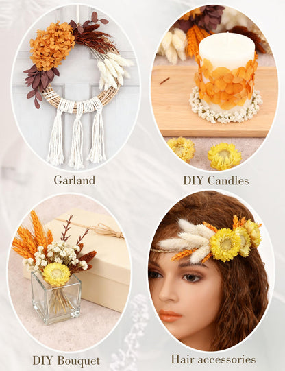 apmunik DIY Dried Flower Set, Bulk Dried Flowers Bouquet, Dried Flower Vase Arrangement, Autumn Decoration,Dried Flowers with Stems. (Fall)