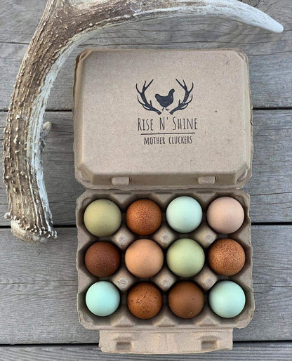 "Vintage Egg Cartons for 12 Large Eggs – Classic 3x4 Layout – Durable Recycled Cardboard – Farmhouse Style – Eco-Friendly Packaging - Tan 65 Pack