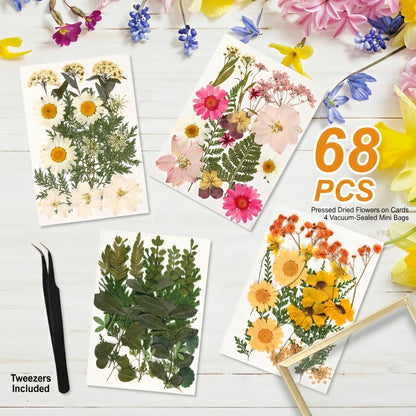 Relaxing Garden Floating Double Glass Frame Set, Gold Pressed Flower Frame DIY Kit with 68 Dried Flowers & Tweezers, 3 Sizes 6x6 6x8 7x9 for Keepsakes, Wedding Photos & Home Decor