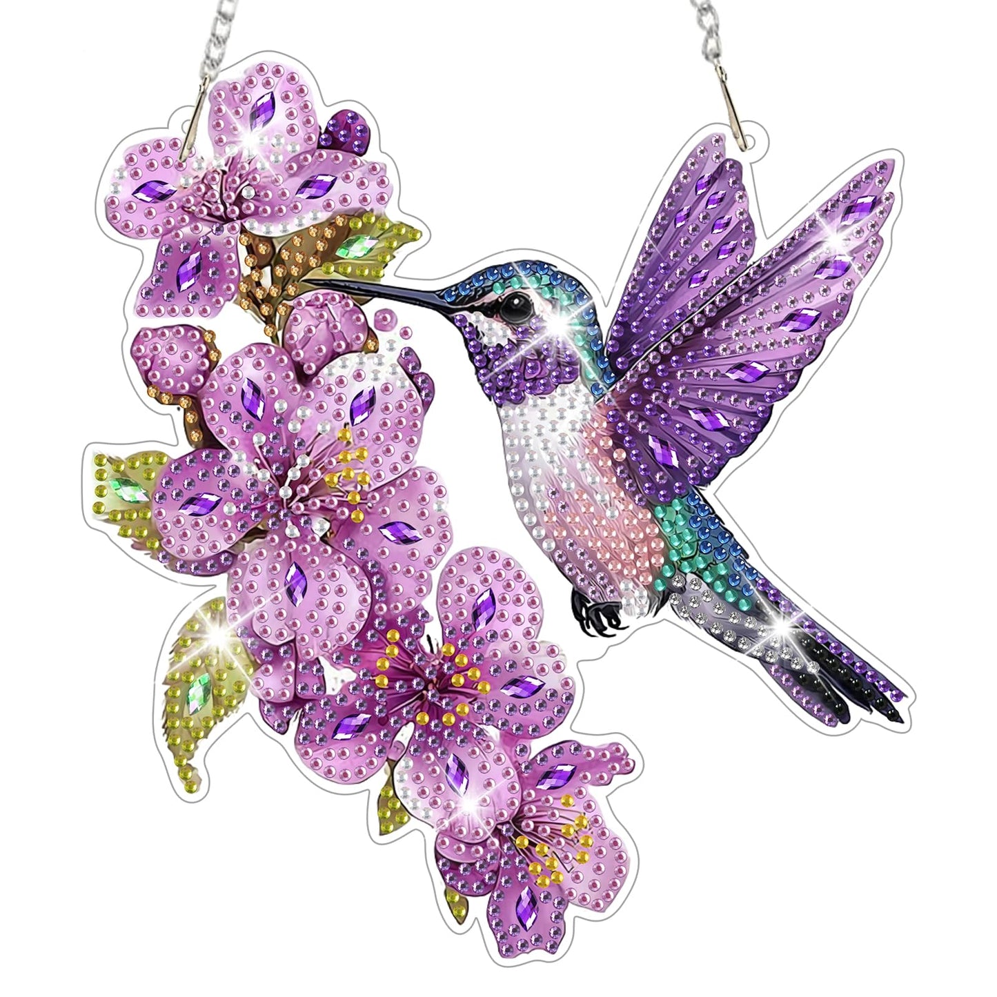 NAIMOER DIY Hanging Diamond Art Kits for Adults, Hummingbird Diamond Painting Kits, Special Shaped Rhinestone, Acrylic 5D Gem Art Craft Window Pendants Home Garden Wall Hanging Ornament Kits