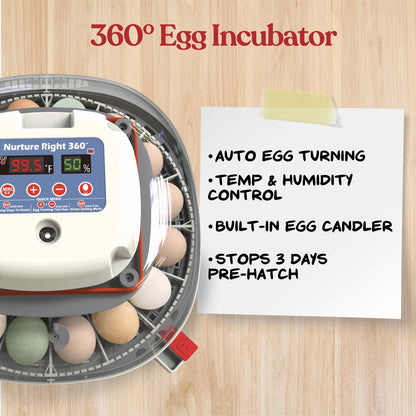 Harris Farms Nurture Right Egg Incubator for Hatching Chicks, Holds 12-22 Eggs, Automatic Turner with Temperature and Humidity Control, 360 Degree View with Clear Window, Incubator for Hatching Eggs