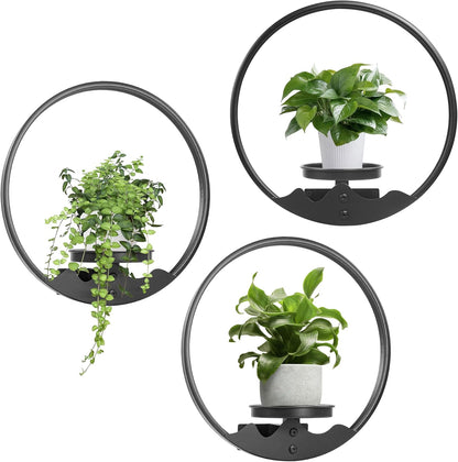 3 Pack Round Picture Frame Wall Plant Holder Black Wall Hanging Planters Metal Window Plants Shelf Plant for Indoor