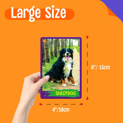 My First 120 Animals, 60PCS Realistic Zoo Animal Cards Farm/Wild/Marine Animals/Insects/Birds Flashcards Montessori & Science Educational Toys Preschool Learning for Homeschool Preschool Toddler Kids