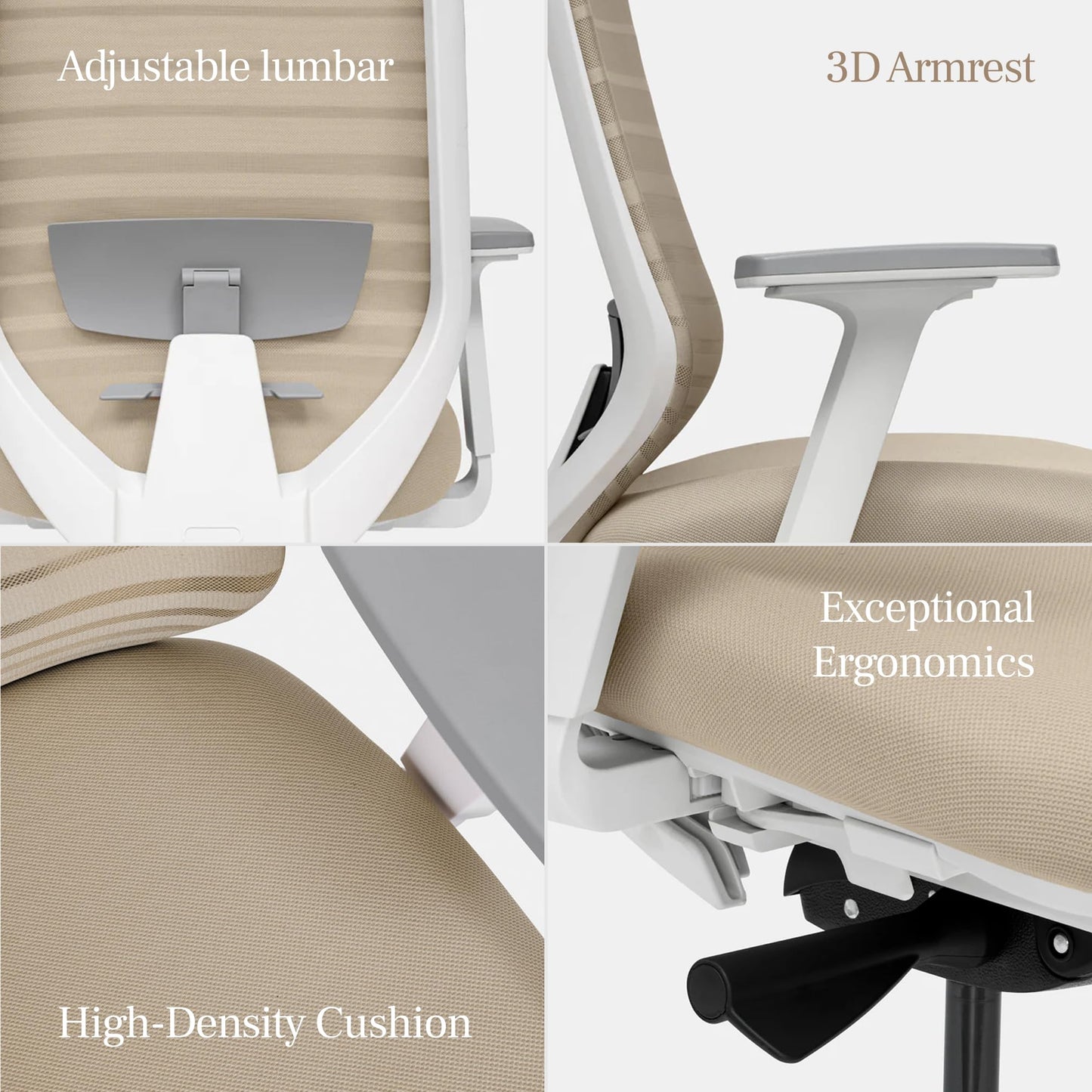 Branch Ergonomic Chair - A Versatile Desk Chair with Adjustable Lumbar Support, Breathable Mesh Backrest, and Smooth Wheels - Experience Optimal Comfort and Support - Black