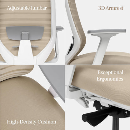 Branch Ergonomic Chair - A Versatile Desk Chair with Adjustable Lumbar Support, Breathable Mesh Backrest, and Smooth Wheels - Experience Optimal Comfort and Support - Graphite - White