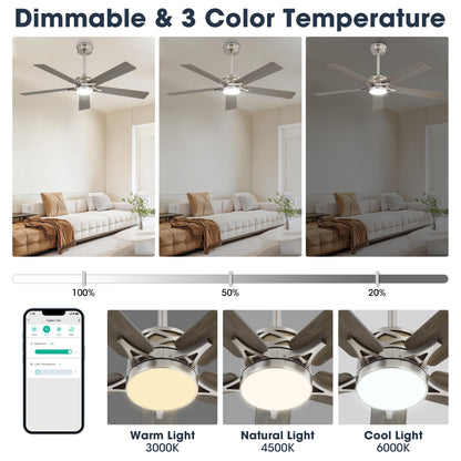 WINGBO 60" Smart Ceiling Fan with Lights and 3 Downrods, 5 Plywood Blades, 6 Speeds Reversible DC Motor, Works with Alexa and Google Assistant, 3CCT Dimmable LED Large Ceiling Fans, Nickel and Grey