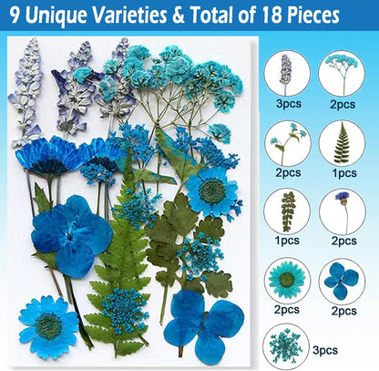 Flowers for Resin Model, Real Pressed Flowers Dry Leaves Bulk Natural Herbs Kit for Scrapbooking DIY Art
