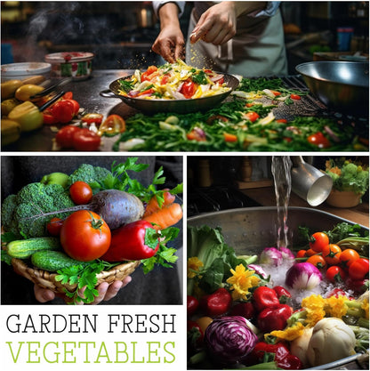 250 (1 Pack) Seed Needs, Giant Noble Spinach Seeds - Heirloom Seeds for Planting Spinacia oleracea - Make Your Own