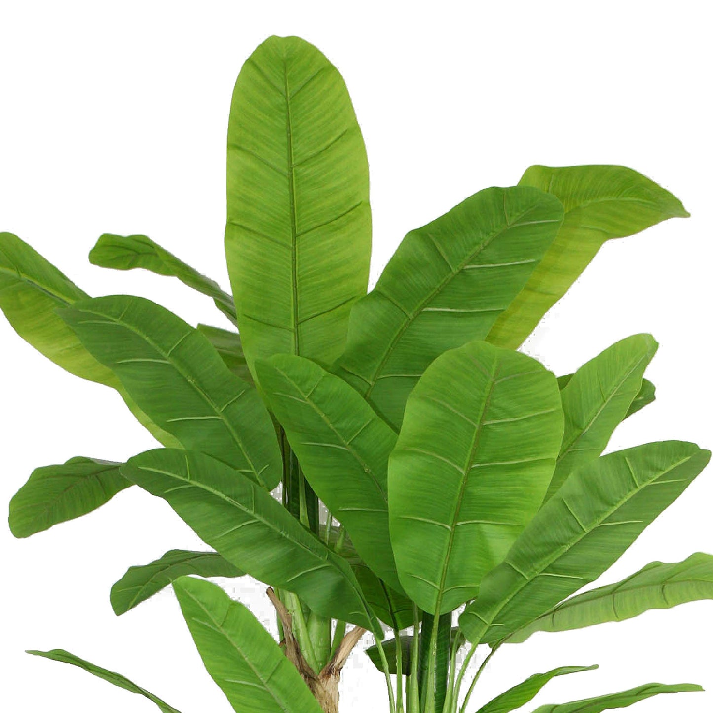 Vintage Home Artificial Faux Real Touch Banana Tree (VHX117230)