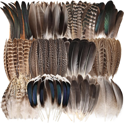Natural Feathers Bulk - 150PCS - 12 Styles Assorted Natural Feathers, Pheasant Feathers, Turkey Feathers for DIY Crafts, Wedding, Crafting Supplies