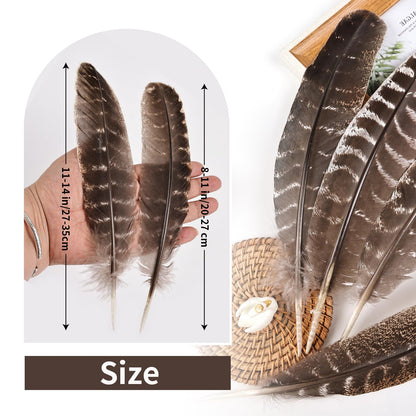 Natural Turkey Feathers, 30pcs 8-11 inch (20-27cm) Bulk Feathers for DIY Jewelry Hat Wedding Home Party Dream Catcher Supplies