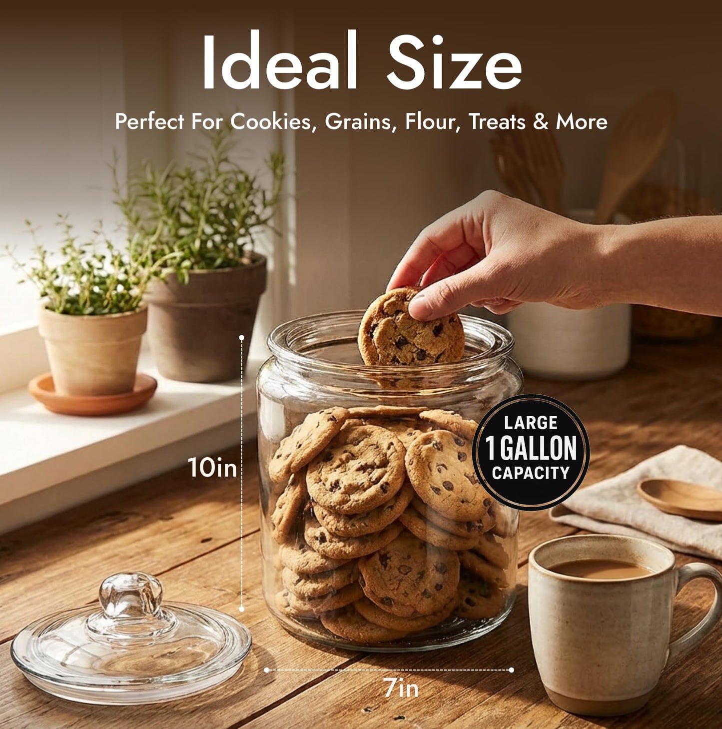 1 Gallon Glass Cookie Jar with Lid – Glass Jar with Lid - Airtight Food Storage Container for Cookies, Candy, Flour, Dog Treats – Clear Large Kitchen Jar for Pantry - Glass Containers with Lids
