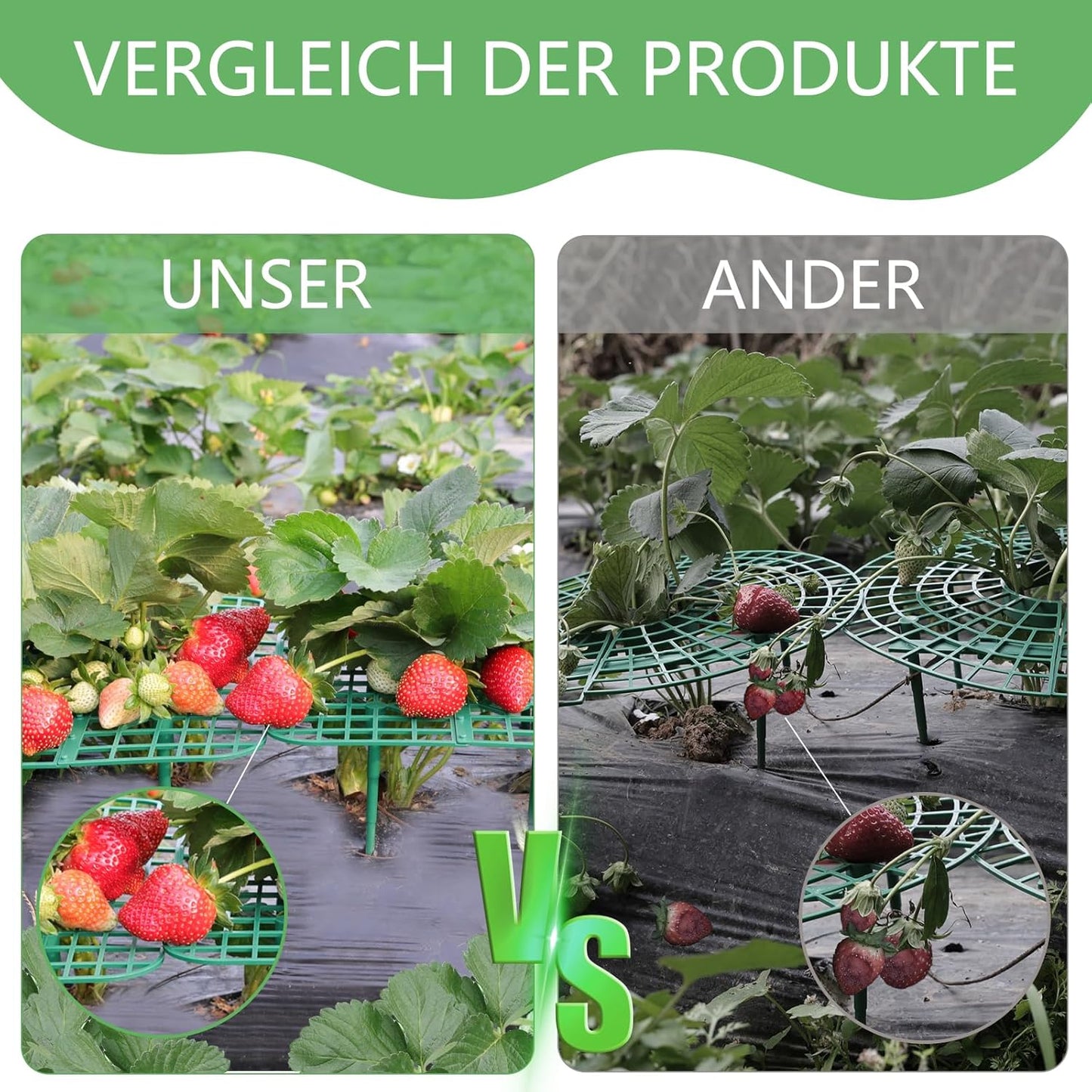 ANGTUO 10 Pack Square Strawberry Supports for Garden Strawberry Plant Support Strawberry Stand Holder Strawberry Racks