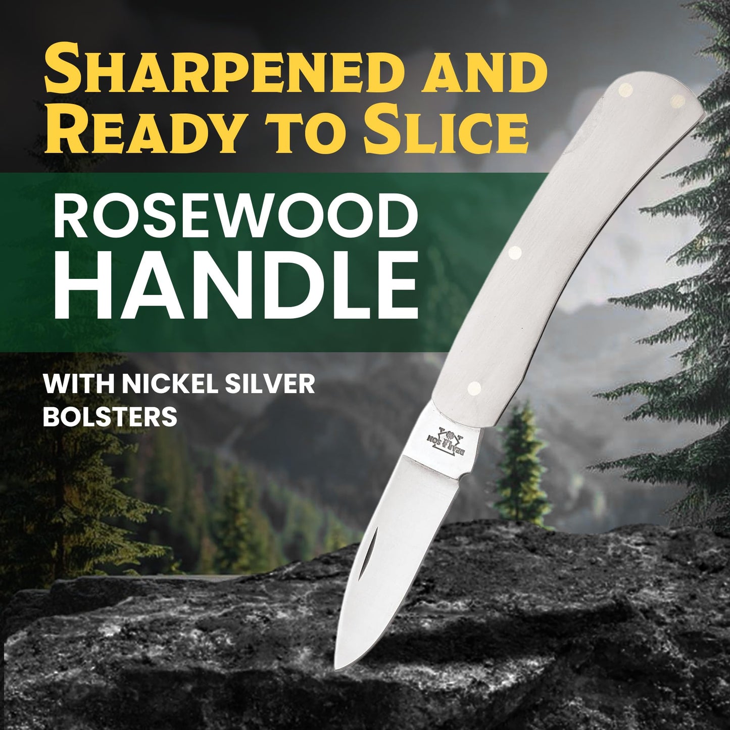 BEAR & SON 125 Executive Lockback Pocket Knife – Small Traditional Stainless Steel Folding EDC w/Brushed Handle, High Carbon Stainless Drop Point Plain Edge Blade, Manual Nail Nick Opening, USA Made
