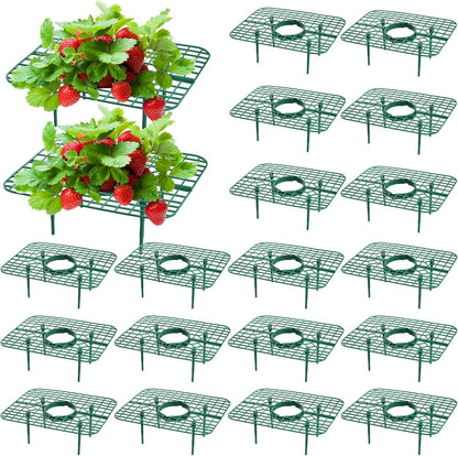 20 Pack 4 Pumtus Square Strawberry Supports, Strawberry Growing Rack with Sturdy Legs, Plastic Strawberry Plant Stand