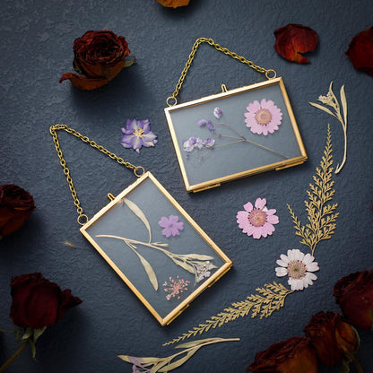 Kigley Double Glass Frame for Pressed Flowers Floating Hanging Photo Frame Gift for Graduation Mother's Day 3.5 x 2.5 in Brass Clear Decor with Chain for Display Gallery Artwork (Gold,12 Pcs)