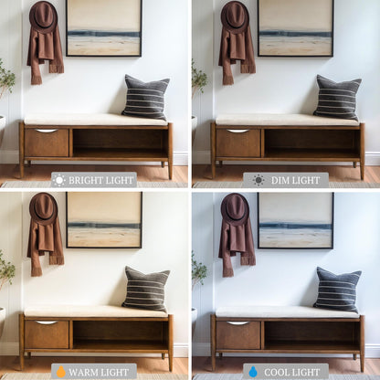 Ink+Ivy Arcadia Entryway Accent Bench with Shelf Shoe Rack, Padded Seating Bench for Living Room, Modern Compact Bed End Bench with Storage for Bedroom Seating, Removable Cushion, 42" W, Walnut Brown