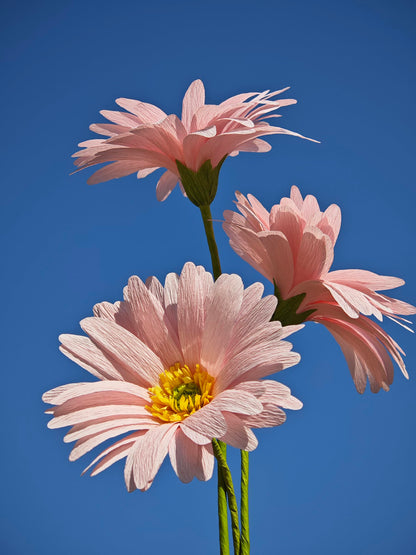 Pink Daisy for Home Decor Events DIY Crepe Paper Flower Bouquet Making Kit Complete Craft Materials for Floral Art 12 Qty