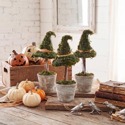Thiccywoov 3 Pcs Halloween Witch Hat Topiary Plant with Pot Fake Small Moss Halloween Decorations Rustic Farm Witch Hat Plant Pot Tabletop Centerpiece for Home Bedroom Tiered Tray Decor Gifts 8.6inch