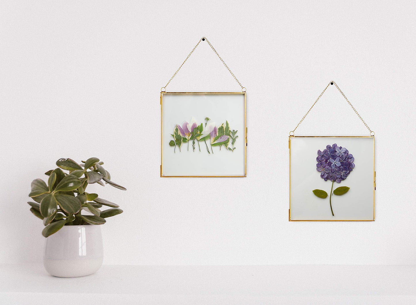 Glass Frame for Pressed Flowers, Leaf and Artwork - Hanging Gold 6x6 Square Metal Picture Frames, Clear Double Glass Floating Frame, Wall Decor Photo Display, Set of 2 Flower Press Frames with Chain