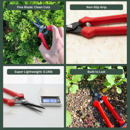 Saboten SD-8 Japanese Micro Tip Harvesting Snips, Ultra-Light 2.3 oz (65g) Pruning Scissors for Herbs, Flowers & Vegetables, HRC60 Blade Steel, Spring Action + Safety Lock, Made in Japan
