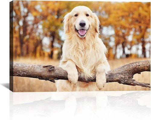 Custom Canvas Prints with Your Photos Personalized Photo Canvas Print Wall Art Customized Canvas Picture Frame Gifts for Pet Baby Family Mom Dad Men Women Couple Boyfriend Girlfriend Framed 30x20